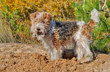 Similar image 431646