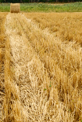 Similar image 431681