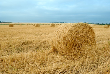 Similar image 431684