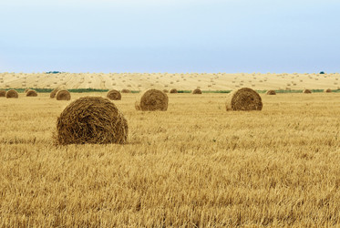 Similar image 431702