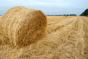 Similar image 431703