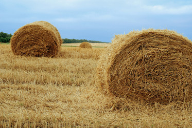 Similar image 431704