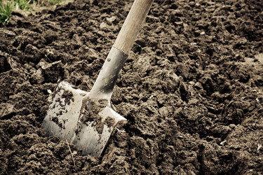 Similar image 431733