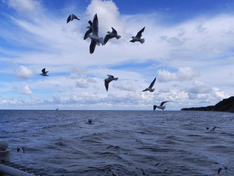 Similar image 431736