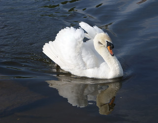 Similar image 431744