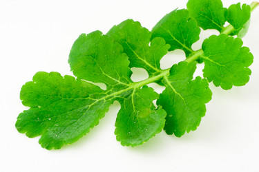 Similar image 431764