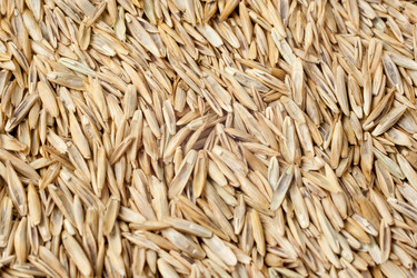 Similar image 431775