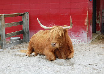 Similar image 431787