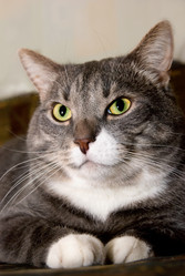 Similar image 431800