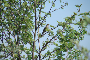 Similar image 431801