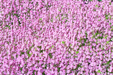 Similar image 431848