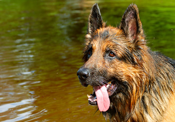 Similar image 431851