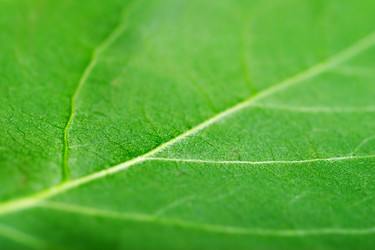 Similar image 431863