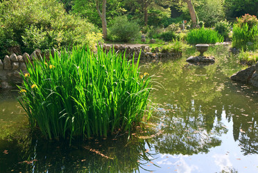 Similar image 431879