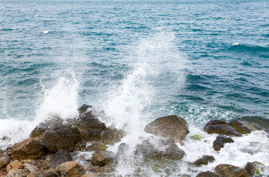 Similar image 431884