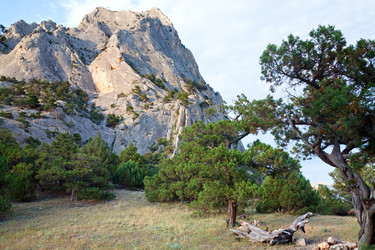 Similar image 431970