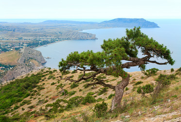 Similar image 432047