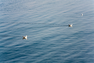 Similar image 432066