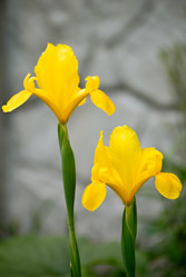 Similar image 432085