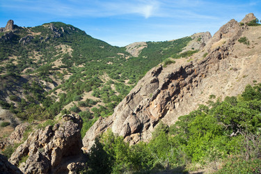 Similar image 432092