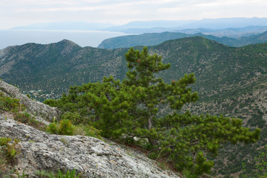 Similar image 432102