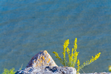 Similar image 432124