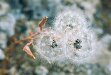 Similar image 432133