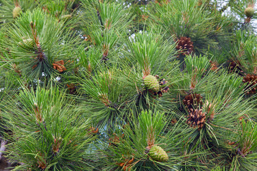 Similar image 432152