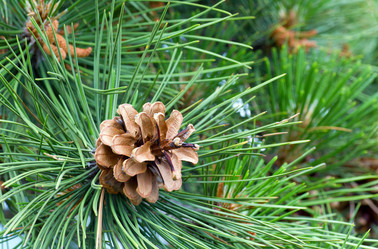 Similar image 432155