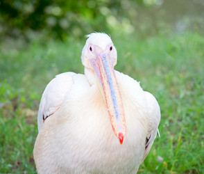 Similar image 432171