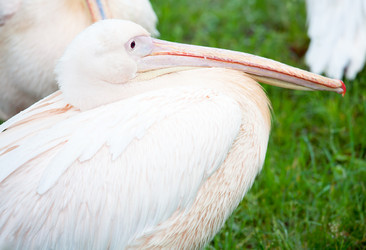 Similar image 432172