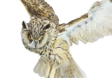 Similar image 432182