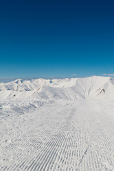 Similar image 432282