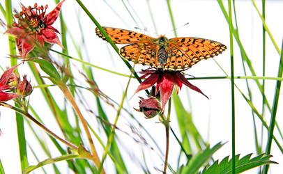 Similar image 432295