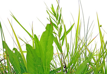 Similar image 432325