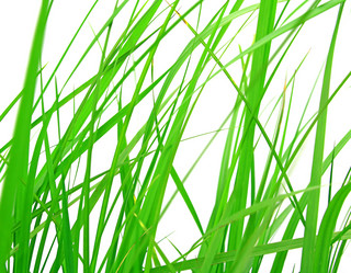 Similar image 432326