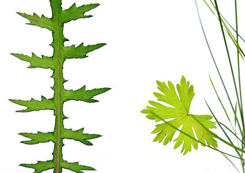 Similar image 432332