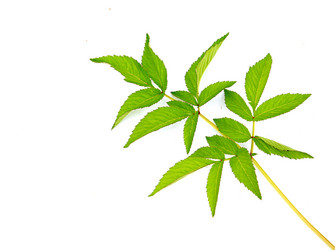 Similar image 432334