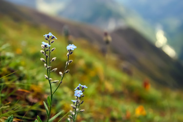 Similar image 432380