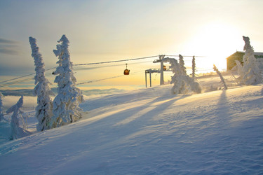 Similar image 432388