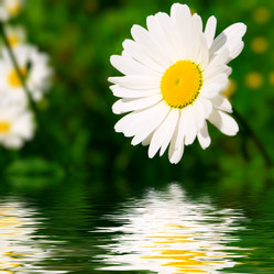 Similar image 432435