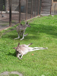 Similar image 432497