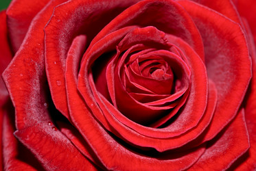 Similar image 432517