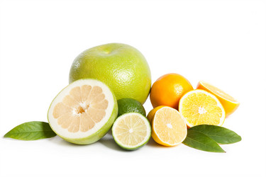 Similar image 432582