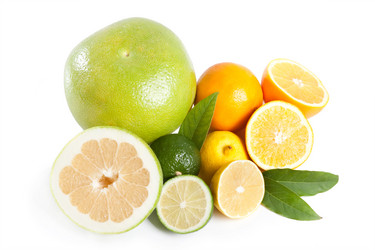 Similar image 432587