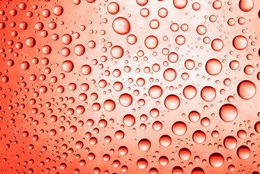 Similar image 432588