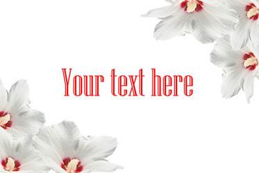 Similar image 432774