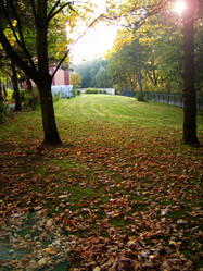 Similar image 432825