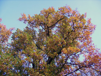 Similar image 432826