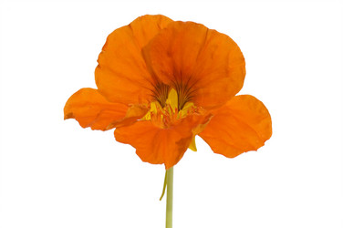 Similar image 432886